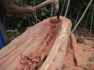 Carving of Proa Micronesian Canoe with Adze Yap Micronesia FSM Copyright Habele.jpg